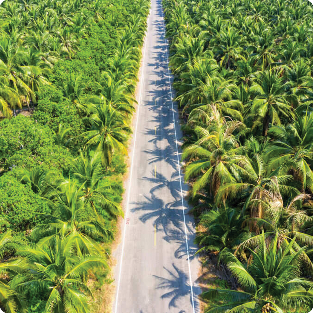 Forestry, Plantations & Agribusiness
